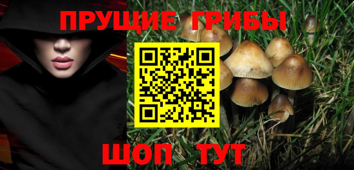Красноперекопск  Галлюциногенные грибы Magic Shrooms  Вход с VPN 
